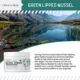 Product Chew + Heal Single Ingredient Green Lipped Mussel Powder for Dogs