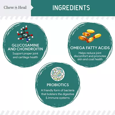 Product Chew + Heal Essential 12-In-1 Multivtiamin Soft Chew Supplement for Dogs