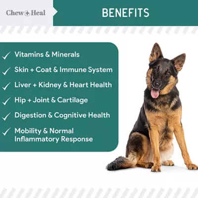 Product Chew + Heal Essential 12-In-1 Multivtiamin Soft Chew Supplement for Dogs