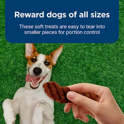 Product Blue Buffalo® Nudges Grillers All Life Stages Dog Treats - Steak