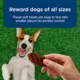 Product Blue Buffalo® Nudges Grillers All Life Stages Dog Treats - Steak