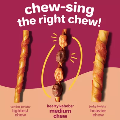 Product Hartz Oinkies Hearty Kabobs Rawhide-Free All Life Stages Dog Chew - Chicken & Duck 18 ct 9 oz