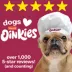 Hartz Oinkies Tender Ribs Rawhide-Free All Life Stages Dog Chew - Chicken & Duck 22 ct 9 oz image thumbnail 7