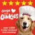 Hartz Oinkies Chicken Wrapped Rawhide-Free All Life Stages Dog Chew image thumbnail 7