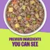Wellness Protein Bowls Slow-Cooked Meals Adult Wet Dog Food image thumbnail 5