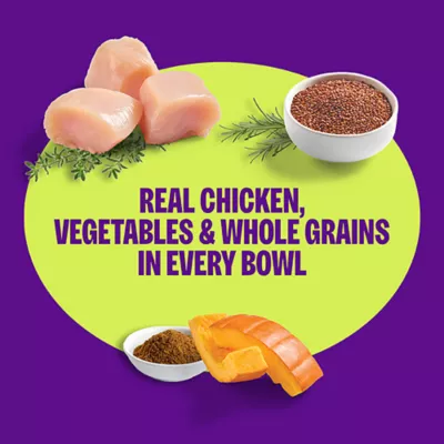 Product Wellness Protein Bowls Slow Cooked Adult Wet Dog Food - Chicken, Quinoa, Pumpkin