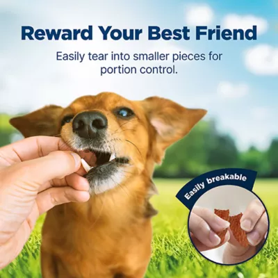 Product Blue Buffalo® Nudges Jerky Bites All Life Stages Dog Treats - Chicken 16 OZ