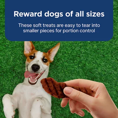 Product Blue Buffalo® Nudges Grillers All Life Stages Dog Treats - Steak