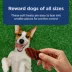 Blue Buffalo® Nudges Grillers All Life Stages Dog Treats - Steak image thumbnail 4