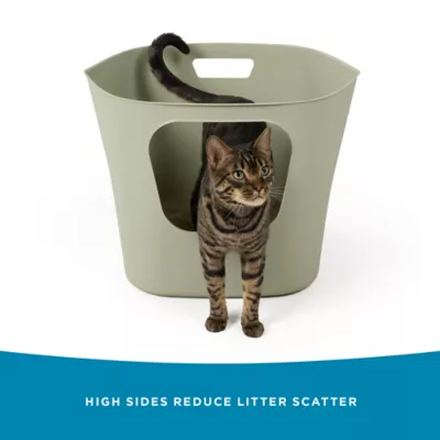 ExquisiCat® Flexible Litter Box, Sage - Image 4