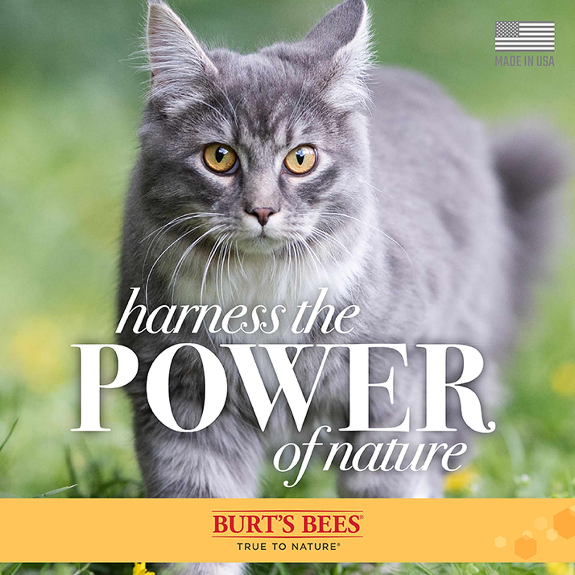 Burt's Bees® Dander Reducing Cat Wipes for Allergy Relief - 50 Count - thumbnail 6