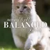 Burt's Bees® Dander Reducing Cat Wipes for Allergy Relief - 50 Count image thumbnail 8