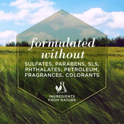 Burt's Bees Cat Waterless Shampoo - Image 6