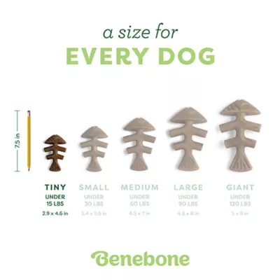 Product Benebone® 2 Pack Fishbones Tiny Size