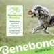 Product Benebone® Beef 2 Pack Tiny Size