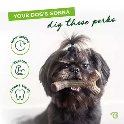 Benebone® Bacon Stick Chew Toy - Image 6