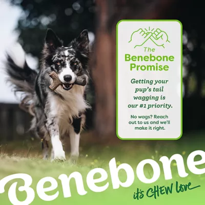 Benebone® Bacon Stick Chew Toy - Image 8