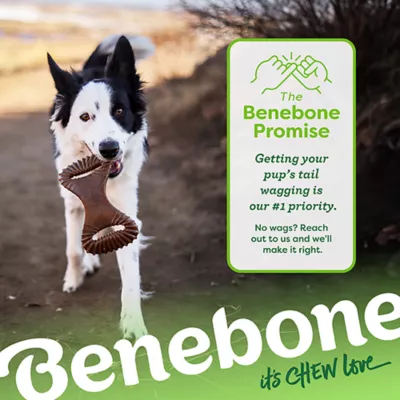 Benebone® Dental Chew Toy Large Size- Bacon, Chicken or Peanut Flavors - Image 8