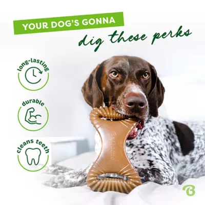 Product Benebone® Dental Chew Toy Large Size- Bacon, Chicken or Peanut Flavors