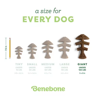 Benebone® Fishbone Chew Toy - Image 4
