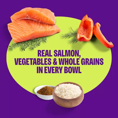 Product Wellness Protein Bowls Slow Cooked Adult Wet Dog Food - Salmon, Whitefish, Rice