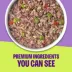 Wellness Protein Bowls Slow-Cooked Meals Adult Wet Dog Food image thumbnail 5