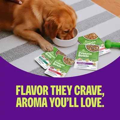 Product Wellness Protein Bowls Slow Cooked Adult Wet Dog Food - Duck, Sweet Potato, Cranberries