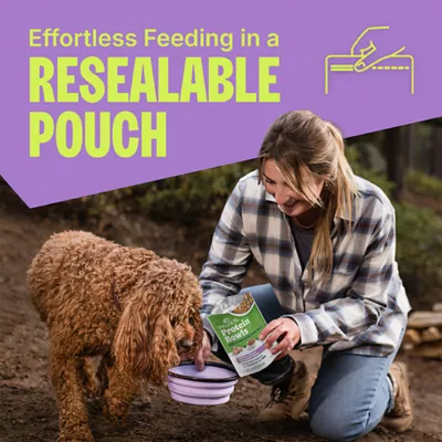 Wellness Protein Bowls Slow-Cooked Adult Wet Dog Food - Variety Pack, Chicken, Quinoa & Potato - Image 5