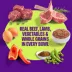 Wellness Protein Bowls Slow-Cooked Adult Wet Dog Food - Variety Pack, Beef & Lamb image thumbnail 2