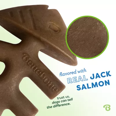 Benebone® Fishbone Chew Toy - Image 5