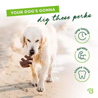 Benebone® Fishbone Chew Toy - Image 6