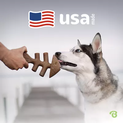 Benebone® Fishbone Chew Toy - Image 7