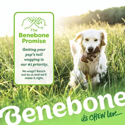 Benebone® Fishbone Chew Toy - Image 8