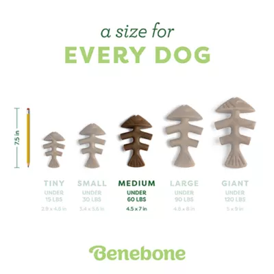 Benebone® Fishbone Chew Toy - Image 4