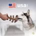 Benebone® Fishbone Chew Toy image thumbnail 7