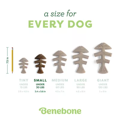 Product Benebone® Fishbone Chew Toy
