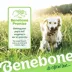 Benebone® Fishbone Chew Toy image thumbnail 8