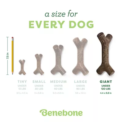 Benebone® Maple Stick Dog Chew Toy - Image 4