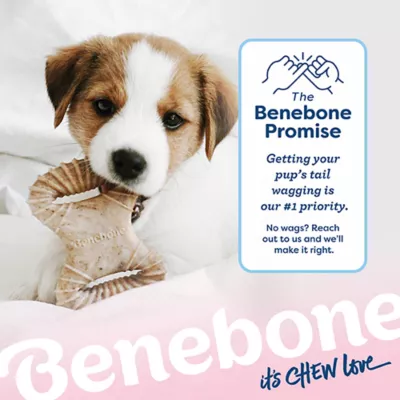 Product Benebone® Puppy 2 Pack Chew Toys Bacon Flavor