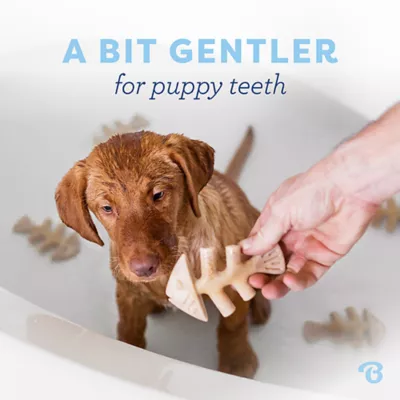 Product Benebone® Puppy Fishbone 2 Pack