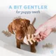 Product Benebone® Puppy Fishbone 2 Pack