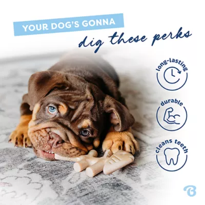Product Benebone® Puppy Fishbone 2 Pack