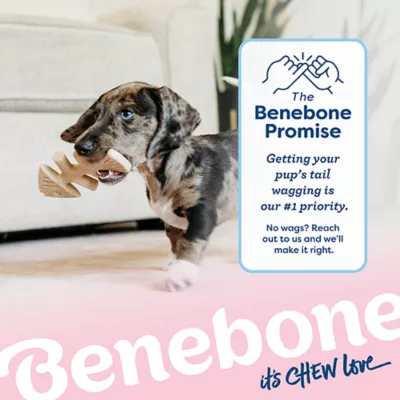 Product Benebone® Puppy Fishbone 2 Pack
