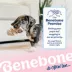 Benebone® Puppy Fishbone 2 Pack image thumbnail 8