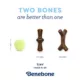 Product Benebone® Puppy Maple Stick 2 Pack
