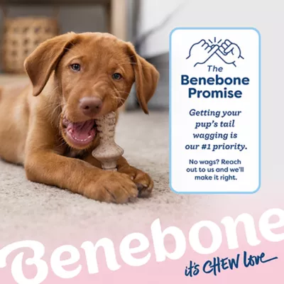 Product Benebone® Puppy Maple Stick 2 Pack