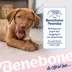 Benebone® Puppy Maple Stick 2 Pack image thumbnail 9