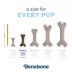 Benebone® Maplestick Small Dog Chew Toy image thumbnail 4