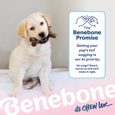 Product Benebone® Maplestick Small Dog Chew Toy