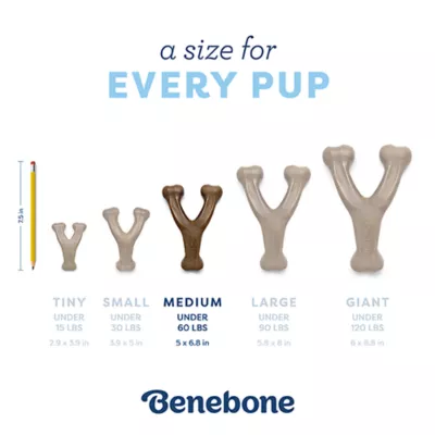 Benebone® Wishbone Bacon Chew Toy - Image 4